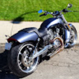 Meet your Posher, Trevor